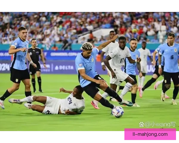 乌拉圭球员与球迷发生冲突引发美洲杯看台风波球迷反应强烈